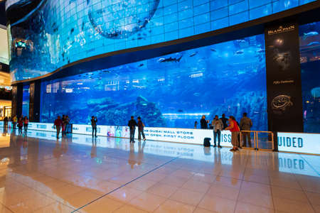 DUBAI, UAE - FEBRUARY 25, 2019: Dubai Aquarium and Underwater Zoo in the Dubai Mall in UAEのeditorial素材