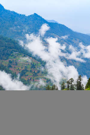 Scenic landscape view of the forested Himalaya mountain slope in clouds with the evergreen conifers...
