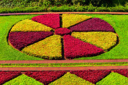 FUNCHAL, MADEIRA - JULY 09, 2014: Madeira Botanical Garden or Jardim Botanico in Funchal city, Madeiraのeditorial素材