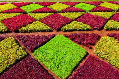 FUNCHAL, MADEIRA - JULY 09, 2014: Madeira Botanical Garden or Jardim Botanico in Funchal city, Madeiraのeditorial素材