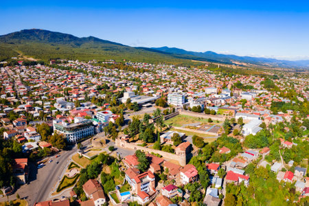 Batonis Tsikhe Fortress aerial panoramic view in Telavi. Telavi is the main city of Kakheti province in Georgia.の写真素材