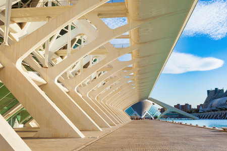 Valencia, Spain - October 15, 2021: The Museu de les Ciencies Principe Felipe or Science Museum Principe Felipe is a science museum in Valencia, Spain. It is part of the City of Arts and Sciences.のeditorial素材