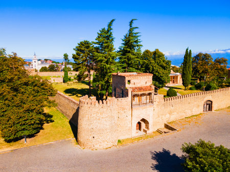 Batonis Tsikhe Fortress aerial panoramic view in Telavi. Telavi is the main city of Kakheti province in Georgia.のeditorial素材