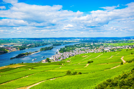 Vineyards, Rudesheim am Rhein and Bingen am Rhein town aerial panoramic view in the Rhine Valley, Germanyの写真素材