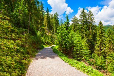 Walking trail around the Eibsee lake near Garmisch-Partenkirchen town in Bavaria, Germanyの写真素材