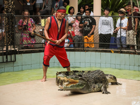 PHUKET, THAILAND - DECEMBER 11, 2010: Crocodile show in Phuket island zoo in Thailandのeditorial素材