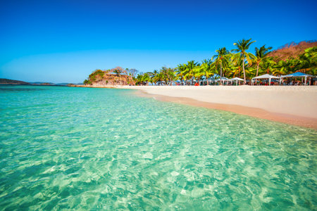 Beach with yellow sand, coconut palms and turquoise water in Busuanga island, Palawan province in Philippinesの写真素材