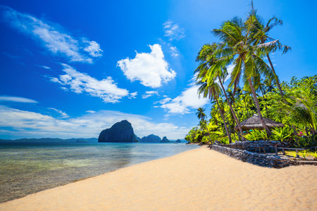 Beach with white sand, coconut palms and turquoise water in El Nido province, Palawan island in Philippinesの写真素材