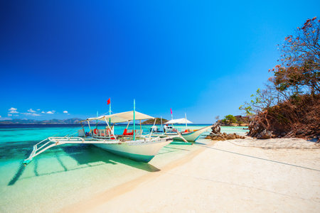 Traditional filipino bangka boat or banca at Malcapuya island near Busuanga, Palawan province in Philippinesの写真素材