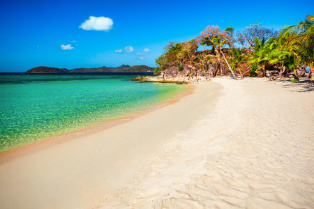 Beach with yellow sand, coconut palms and turquoise water in Busuanga island, Palawan province in Philippinesの写真素材