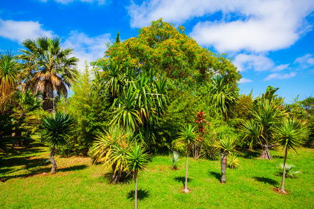 Madeira Botanical Garden or Jardim Botanico in Funchal city, Madeiraの写真素材