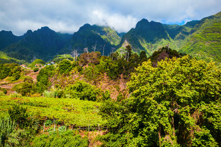Mountain landscape in Madeira island in Portugalの写真素材