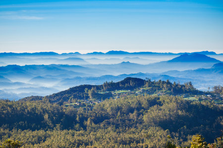 World's End aerial panoramic view on sunrise. Worlds End is located in Horton Plains National Park of Nuwara Eliya, Sri Lanka.の写真素材