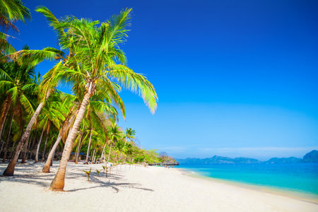 Beach with white sand, coconut palms and turquoise water in El Nido province, Palawan island in Philippinesの写真素材