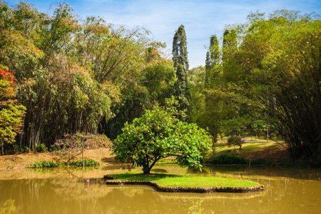 Peradeniya Royal Botanic Gardens located near Kandy city, Sri Lanka. Peradeniya Royal Botanic Gardens are the largest of the botanical gardens of Sri Lanka.の写真素材