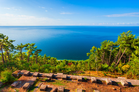 Beauty pine forest and Black Sea landscape near the Cold River Dacha Stalin residence in Abkhazia region of Georgia, USSRの写真素材