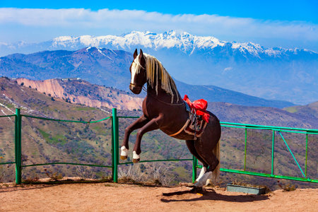 Horse at the Chimgan mountain viewpoint and Tian Shan or Tengri Tagh mountain range near Taskent city in Uzbekistan in springの写真素材