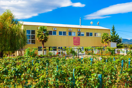Tsinandali, Georgia - September 03, 2021: Shumi Winery building and vineyard in Tsinandali village, Kakheti. Kakheti is a region in eastern Georgia with Telavi as its capital.のeditorial素材