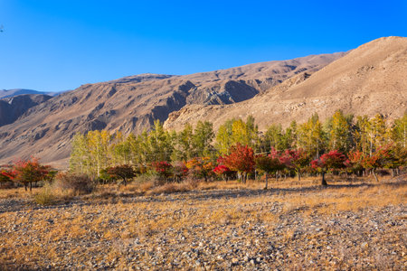 Ishkoshim village landscape. Ishkoshim or Ishkashim is located in Gorno-Badakhshan Pamir Region in Tajikistan. It lies on the river Panj at the border of Afghanistan.の写真素材