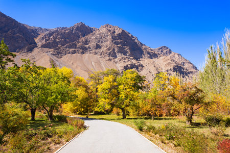 Botanical garden in Khorog city. Khorog is situated along the Pamir Highway in Gorno-Badakhshan, Tajikistan.の写真素材