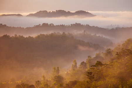 Scenic landscape view of the forested mountain slope in mist and clouds at sunrise, Himalaya mountains in Himachal Pradesh, Indiaの写真素材