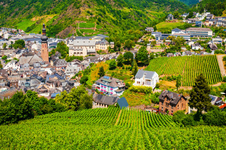 Cochem town and vineyards aerial panoramic view in Moselle valley, Germanyの写真素材
