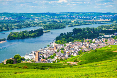 Vineyards, Rudesheim am Rhein and Bingen am Rhein town aerial panoramic view in the Rhine Valley, Germanyの写真素材