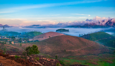 Amazing landscape view of tea plantation before sunrise nature backgroundの写真素材