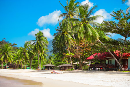 Beauty beach with yellow sand and crystal clear water in Thailandの写真素材