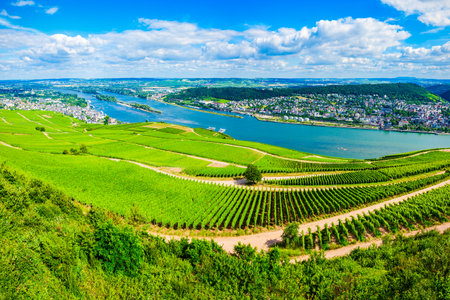 Vineyards, Rudesheim am Rhein and Bingen am Rhein town aerial panoramic view in the Rhine Valley, Germanyの写真素材
