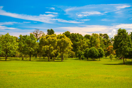 Bali Botanic Garden or Kebun Raya Bedugul is the largest botanic garden in Bali island and Indonesiaの写真素材
