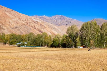 Ishkoshim village landscape. Ishkoshim or Ishkashim is located in Gorno-Badakhshan Pamir Region in Tajikistan. It lies on the river Panj at the border of Afghanistan.の写真素材