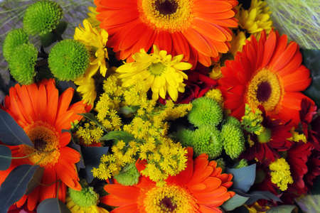 festive bouquet of flowers with gerberaの写真素材