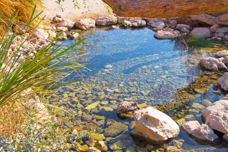 wellspring near the Dead Sea in Ein Gediの写真素材