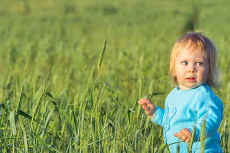 child in a wheat fieldの写真素材