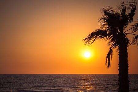 Tropical beach with palm at sunset and reflectionsの写真素材