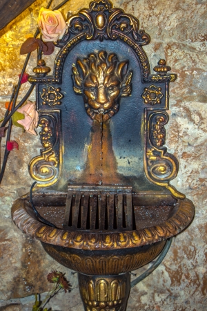 decorative washbasin with lion and roseの写真素材