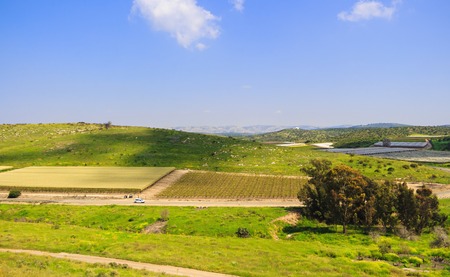 Israeli beautiful landscape overlooking fields in negev