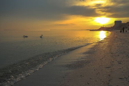 Incredible landscape from the shores of the Black Sea with swans and bright sunshineの写真素材