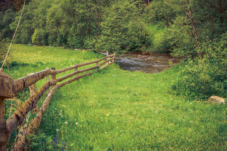 Combination of natural beauty and diversity of rural faunaの写真素材