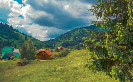 Wooded Carpathians slopes with houses in center of the frame