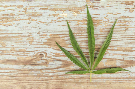 leaf marijuana on wood vintage backgroundの写真素材