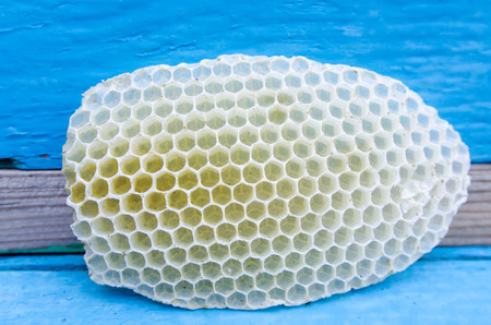 A fragment of honeycomb beesの写真素材
