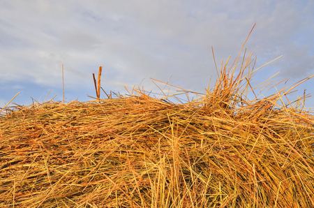 Haystack at sunset close upの写真素材