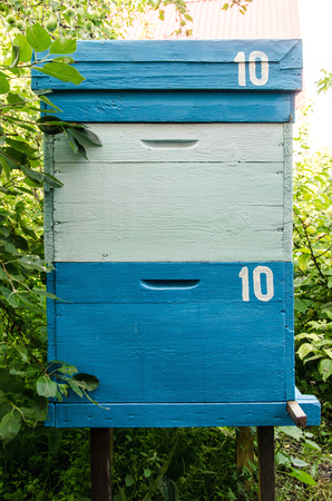 Blue beehive in the apiaryの写真素材