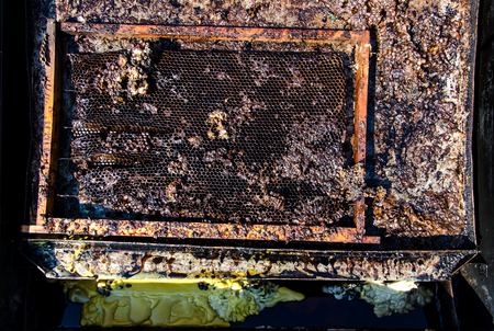 old Wax apiaryの写真素材