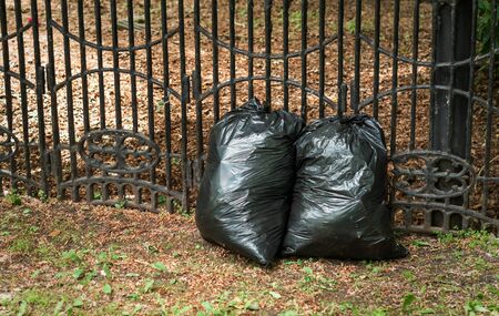 Two bags of trash are on the street