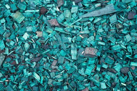 Texture of turquoise brightly painted wood shavingsの写真素材