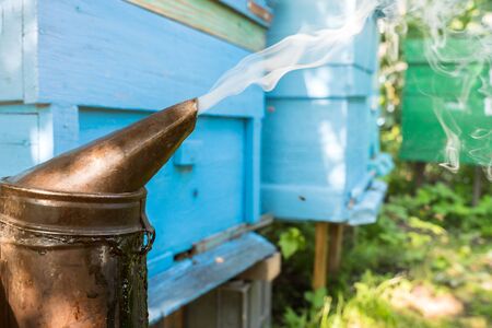 Beekeeping smoker on the background of beehivesの写真素材