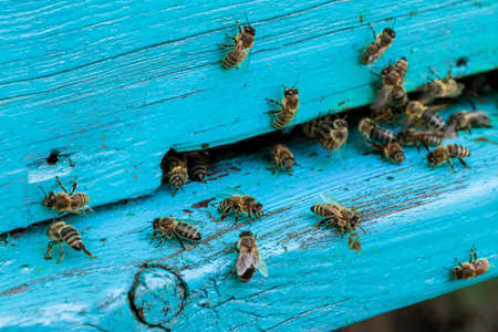 The number 3 on the green rustic boards